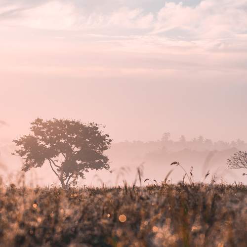 Photo #8923697