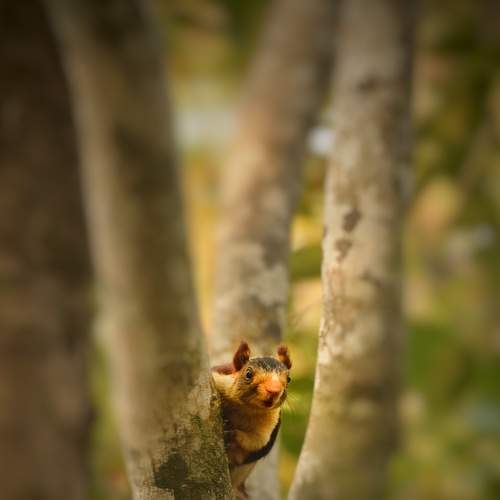 Photo #8924059