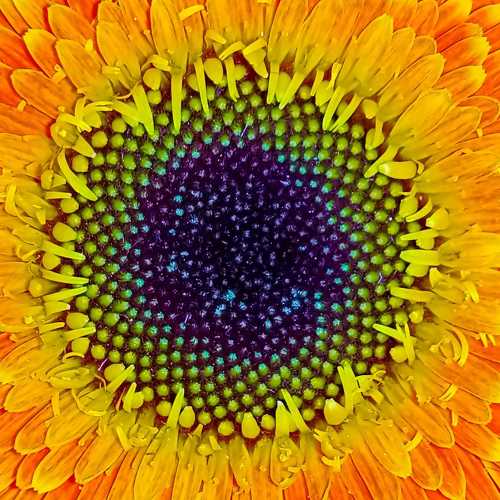 Photo #8924128