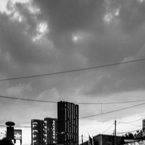 Photo #8924166