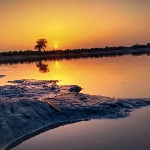 Photo #8924205