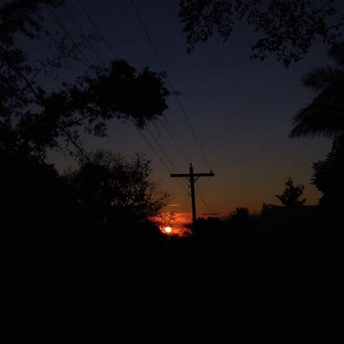 Photo #8924387