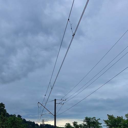 Photo #8924591
