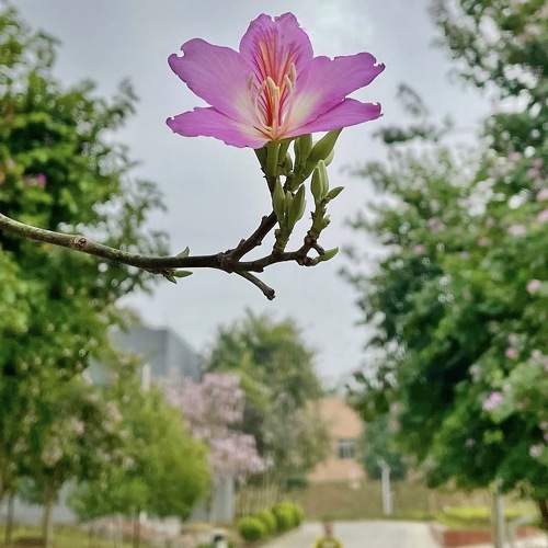 Photo #8924759