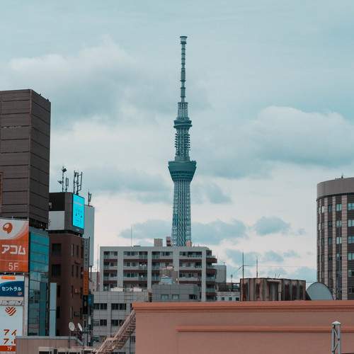 Photo #8924774