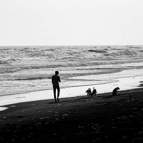 You are not Alone .