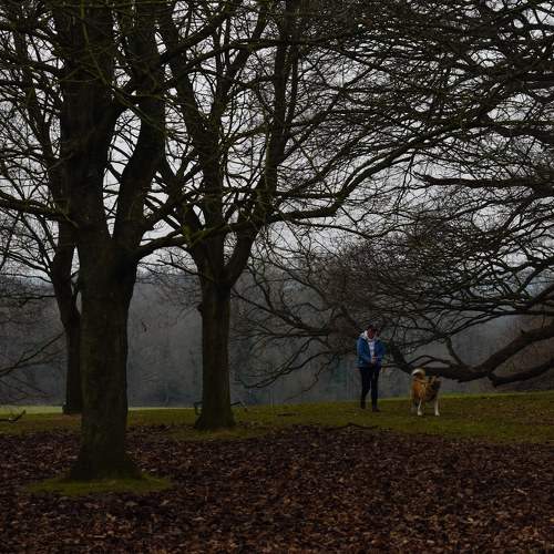 Photo #8924986