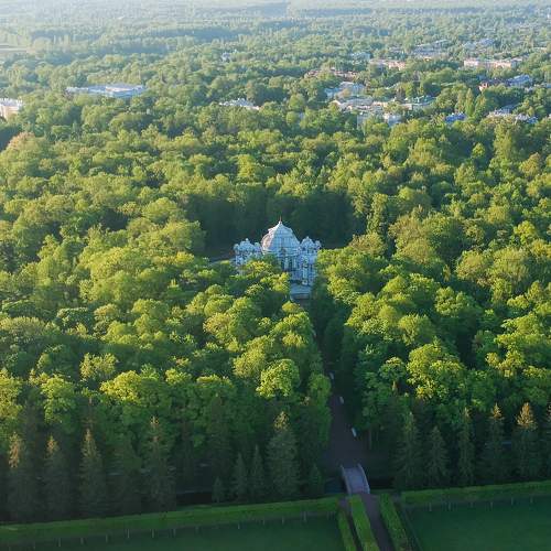 Photo #8925183