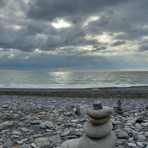 Photo #8925218
