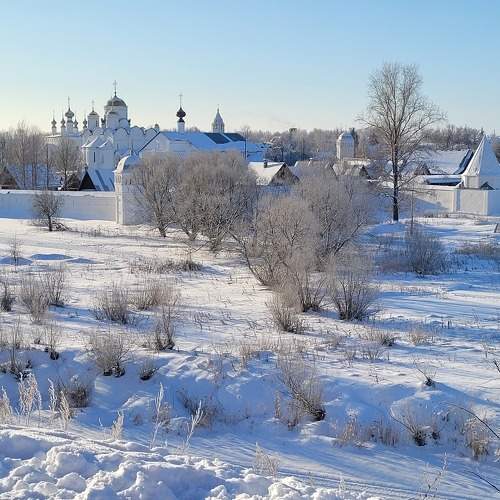 Photo #8925424