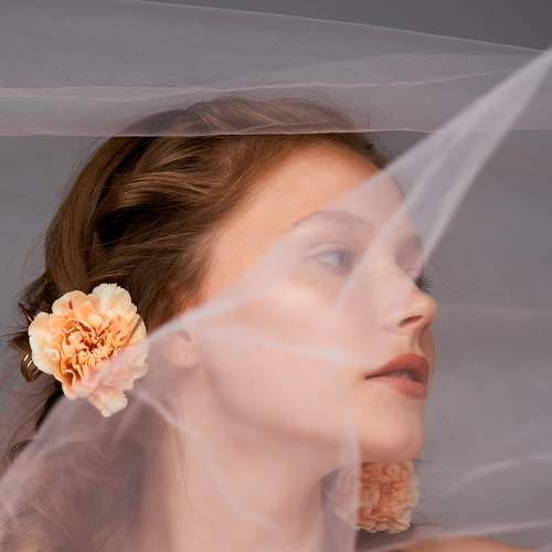 Photo #8925498