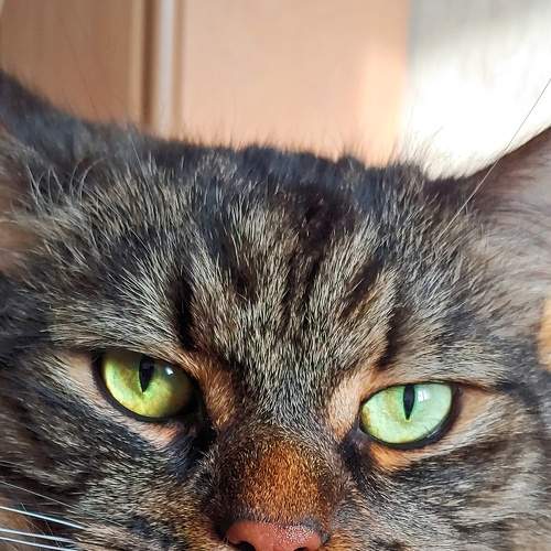 Photo #8925591