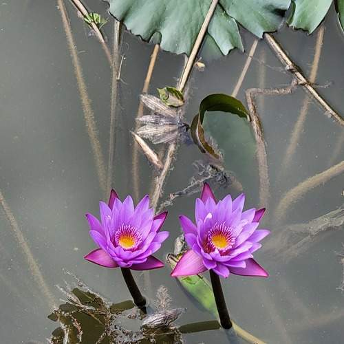 Photo #8925695