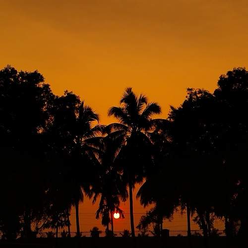 Photo #8925947