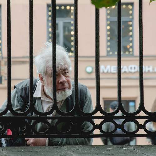 По другую сторону ограды