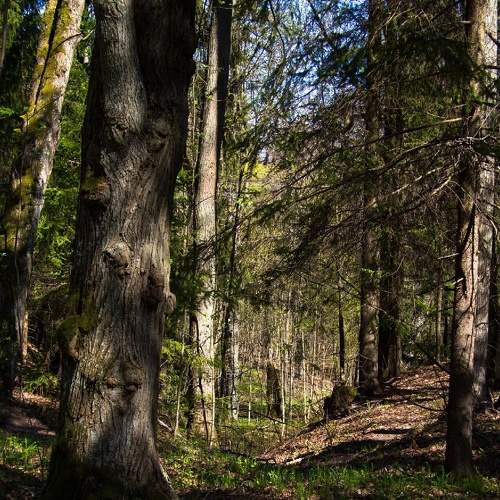 Photo #8925963
