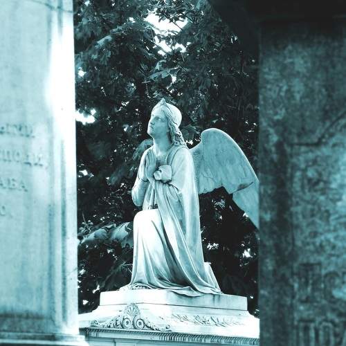 Photo #8926152