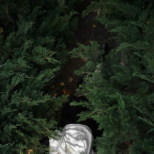 Photo #8926180