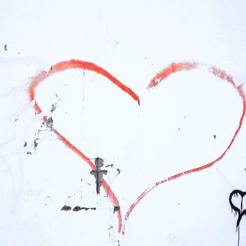 Photo #8926610