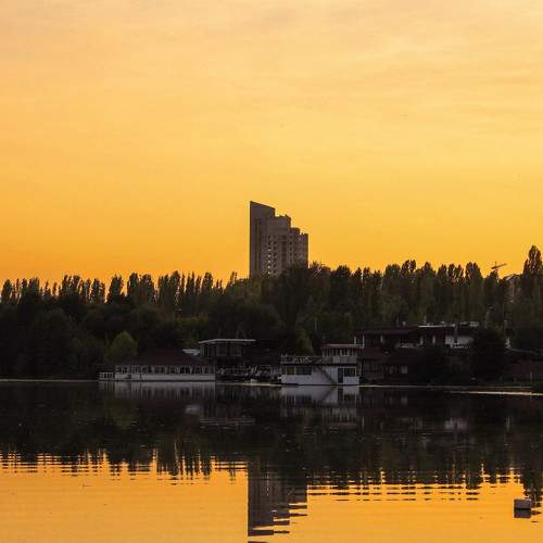 Photo #8926715