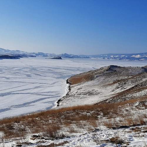 Photo #8926845