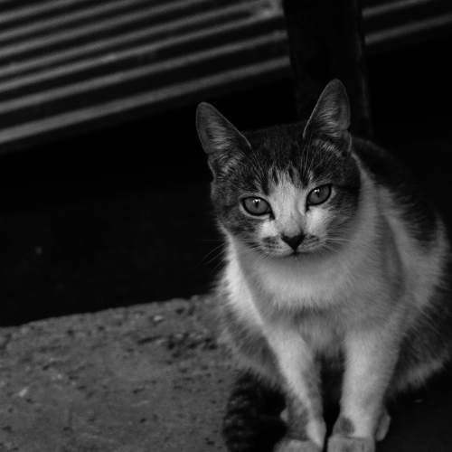 Photo #8926892