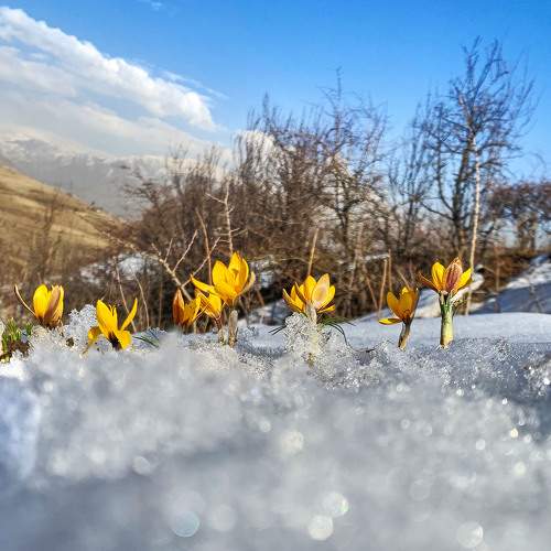 Photo #8926933