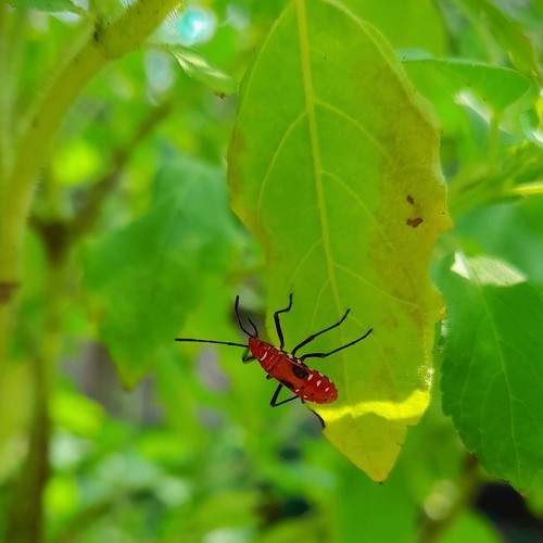 Beauty in nature