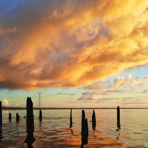 Photo #8927658