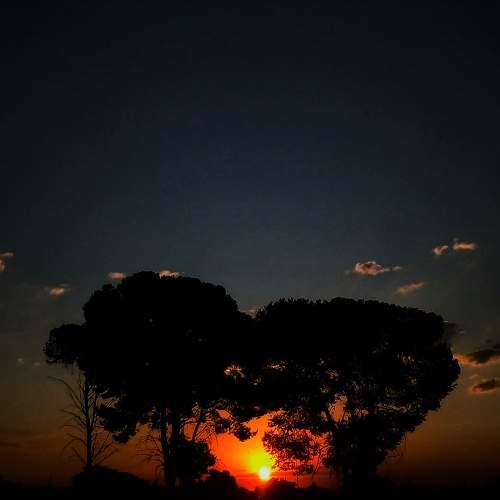Photo #8927689