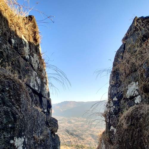 Photo #8927760