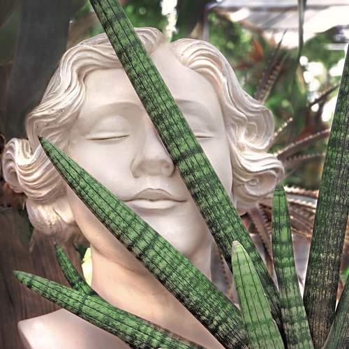 Photo #8927999