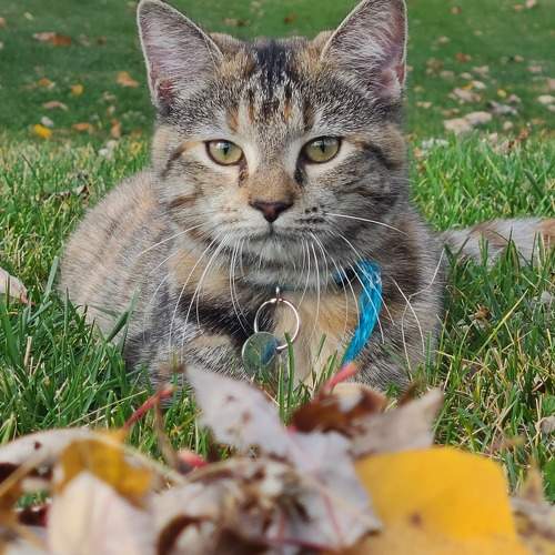 Photo #8928221