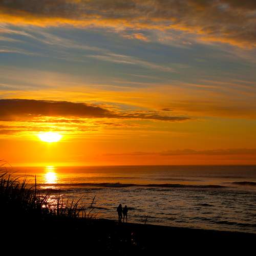Photo #8928467