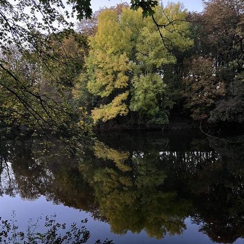 Photo #8928610