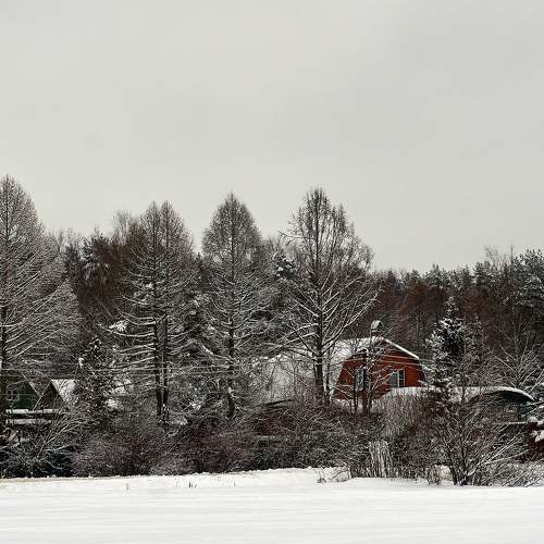 Photo #8928674