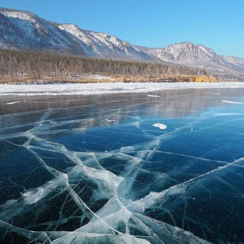 Photo #8928718