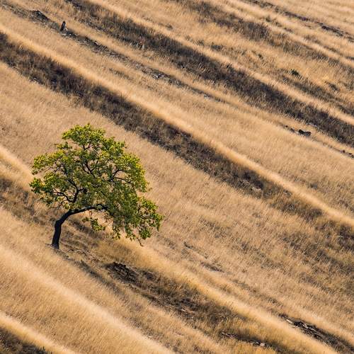 Photo #8929070
