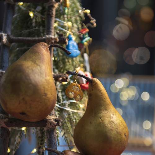 Фотография #8929085