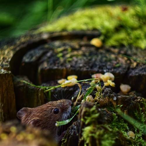 Photo #8929454
