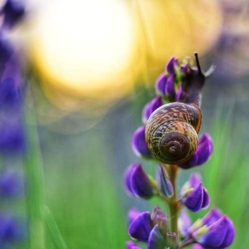 Photo #8929673