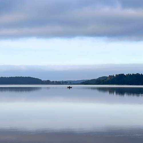 Photo #8929702