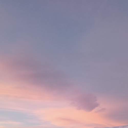 Photo #8929801