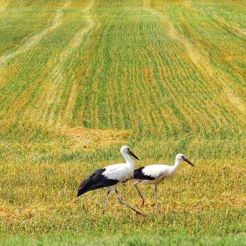 Photo #8929805