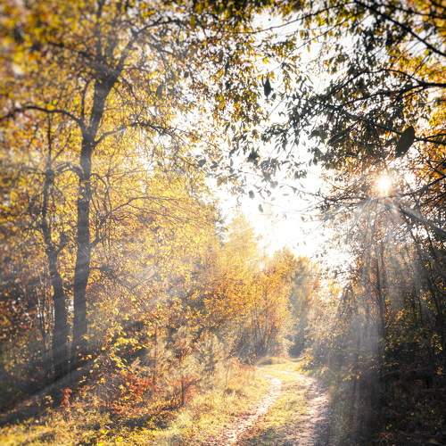 Photo #8930056