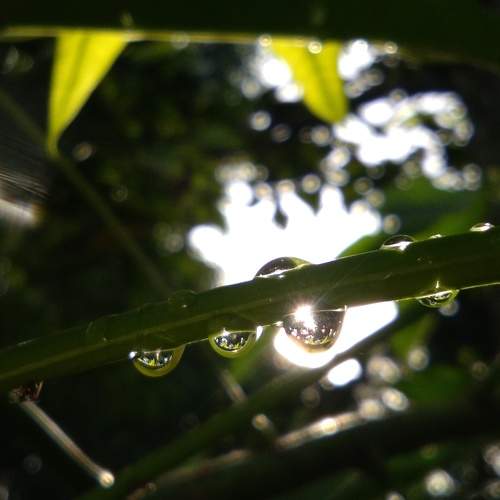 Photo #8930077