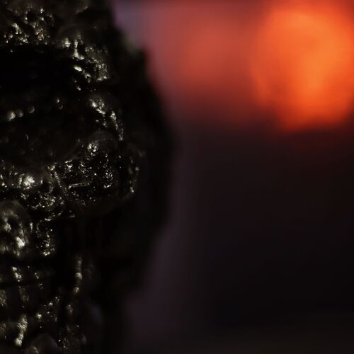 Photo #8930382