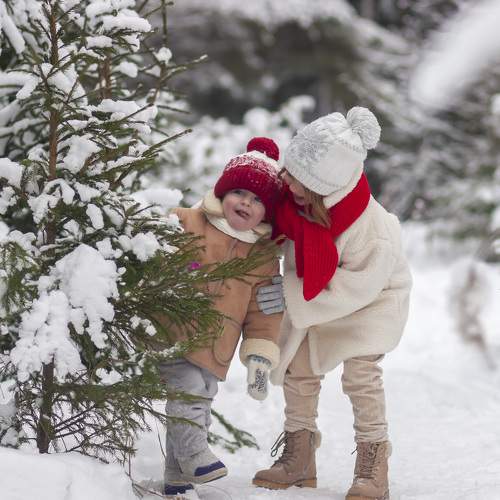 Photo #8930402