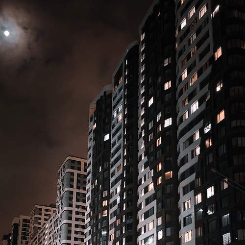 Photo #8930506