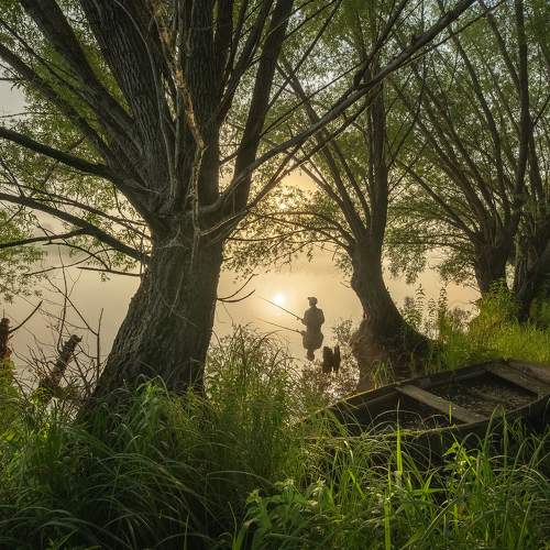 Photo #8930639